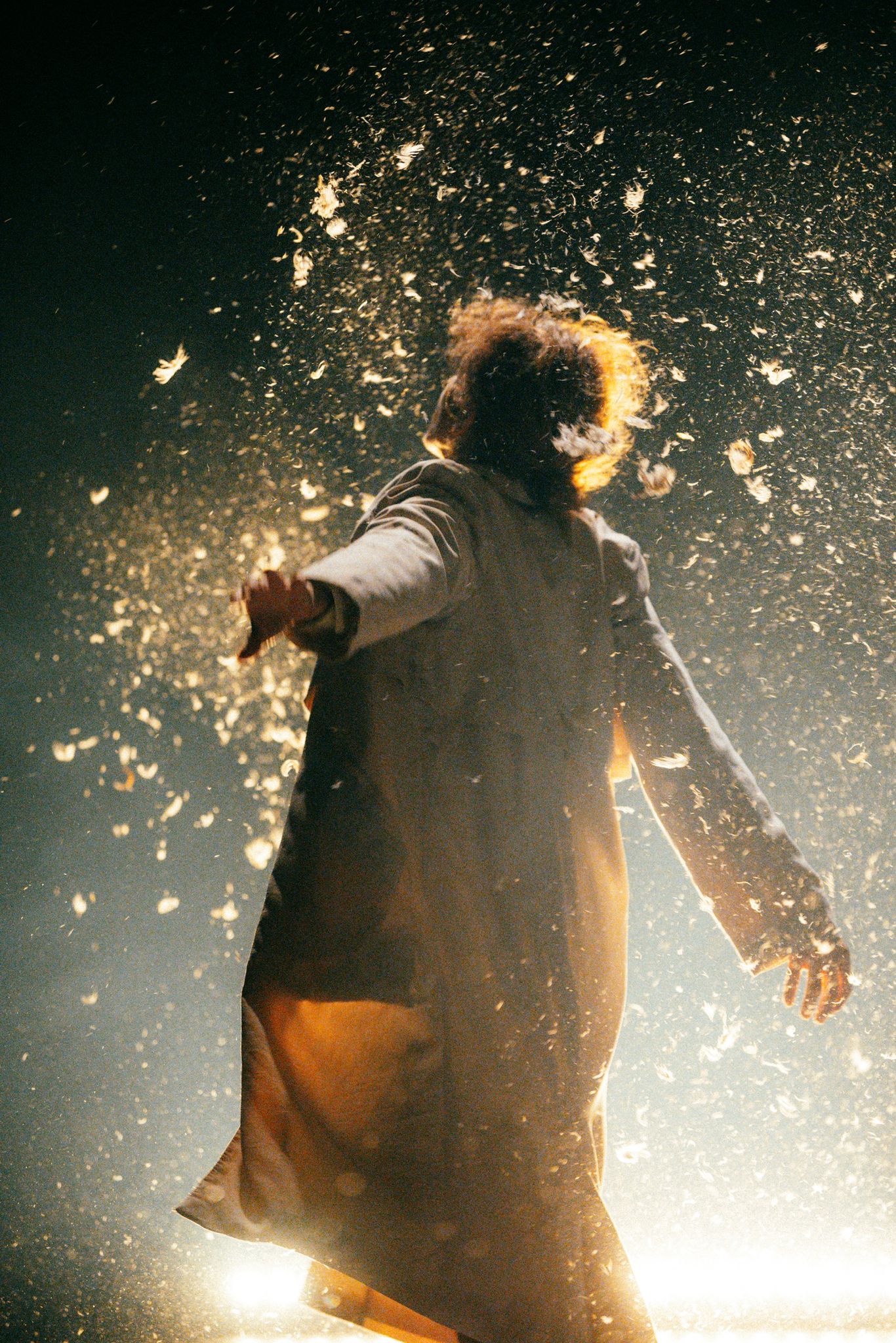 A Dança de BirdsLAND