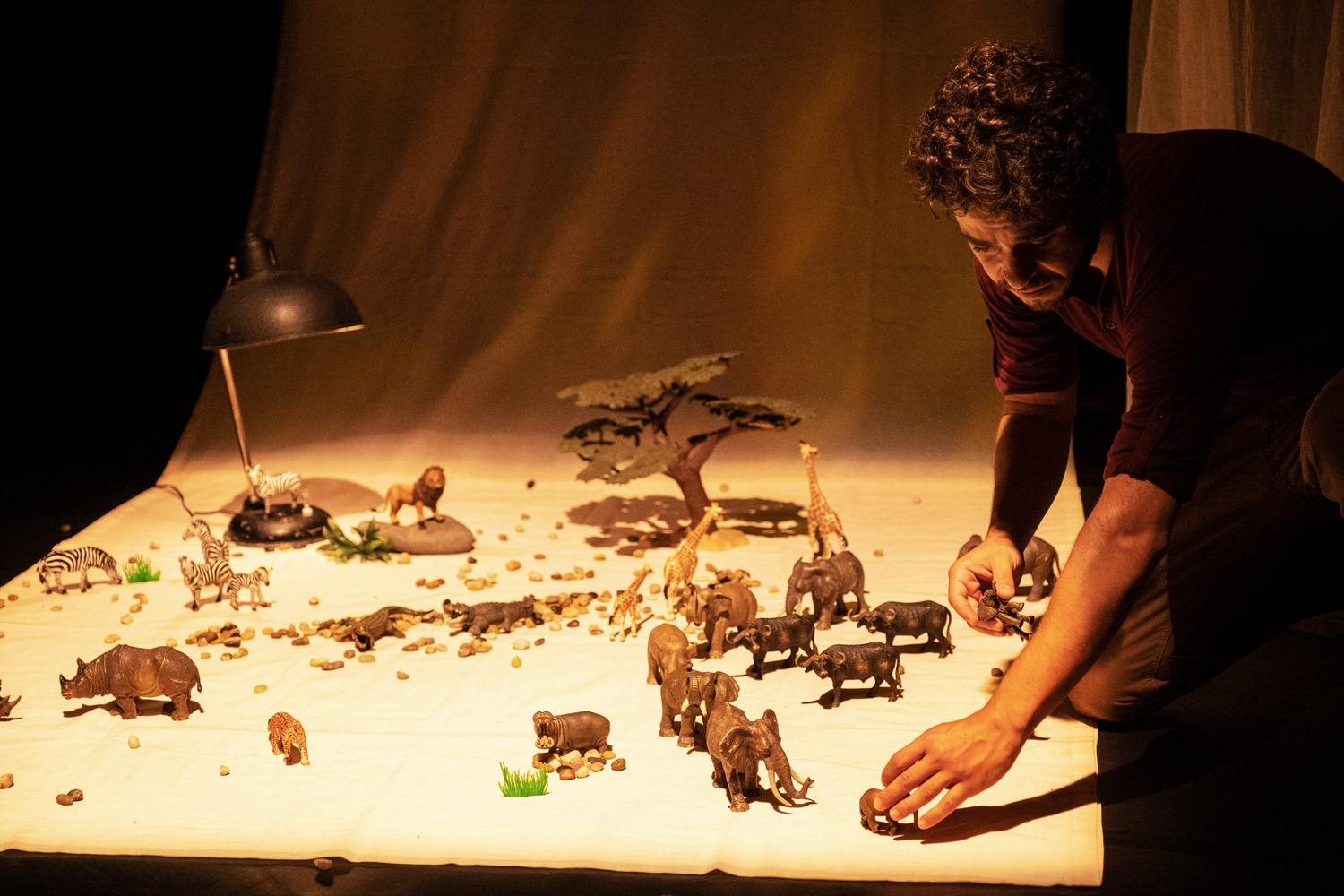 A Caminhada dos Elefantes